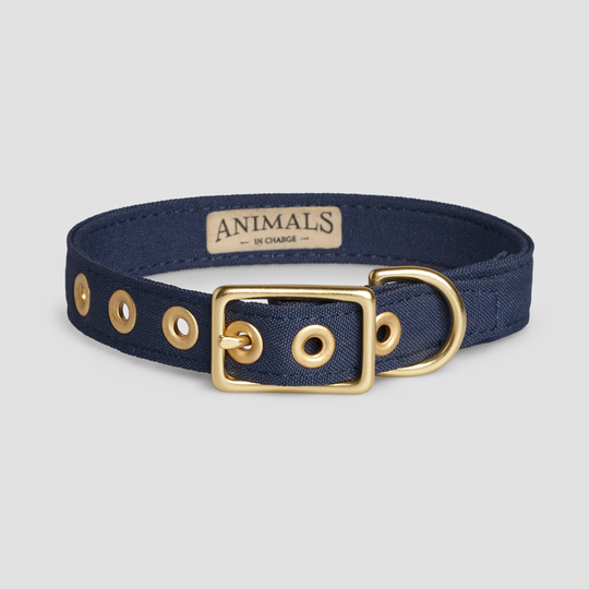 Navy + Brass Recycled Materials Dog Collar // Buckle Eco - Vegan