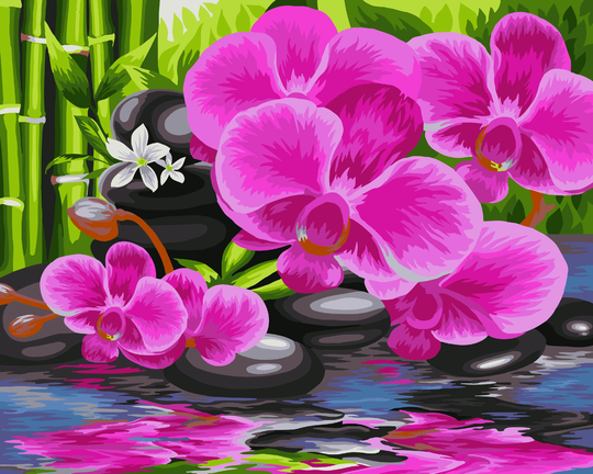 Paint By Numbers Kit Orchid B081 19.69 X 15.75 in Diy Acrylic Painting USA Shipping Handmade Gift