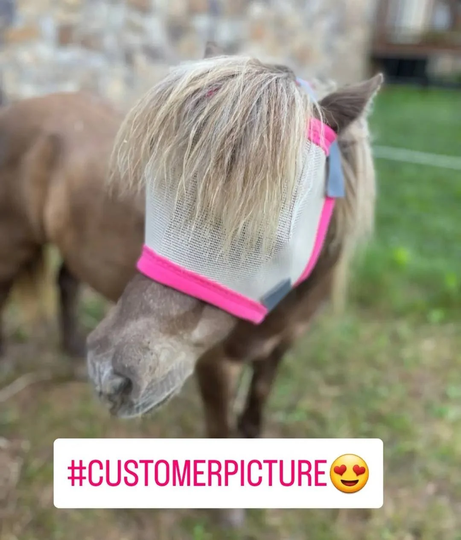 Fly Mask For Minis, Ponies, Foals, Donkeys, Handmade in The USA Montana, Solid Trim Choose Color