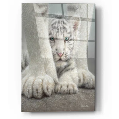 Sheltered by Collin Bogle - Unframed Print