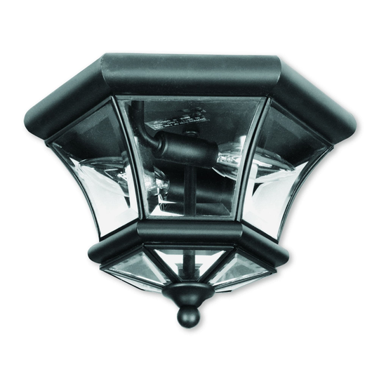 Livex Lighting Monterey/Georgetown Black 2-light Ceiling Mount Fixture