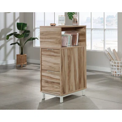 Thompsontown Vertical Filing Cabinet