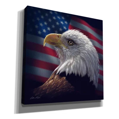 Millwood Pines 'American Bald Eagle' By Collin Bogle, Canvas Wall Art
