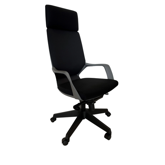 Rye Studio Talla Upholstered Executive Modern Office Chair