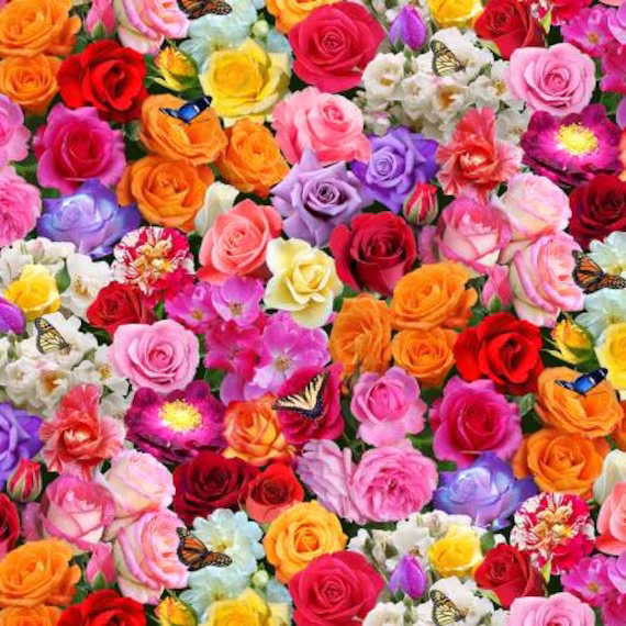 Roses Multi Colored Burst Of Color By Elizabeth's Studio 44 Inches Wide 100% Cotton Fabric Es-663