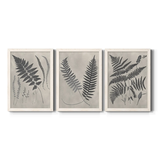 Vintage Fern Study II-Premium Framed Canvas - Ready to Hang - Multi-Color
