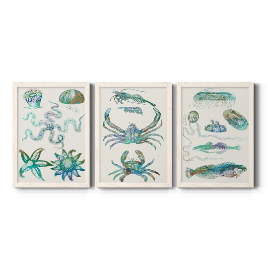 Aquatic Assemblage VII-Premium Framed Canvas - Ready to Hang - Multi-Color