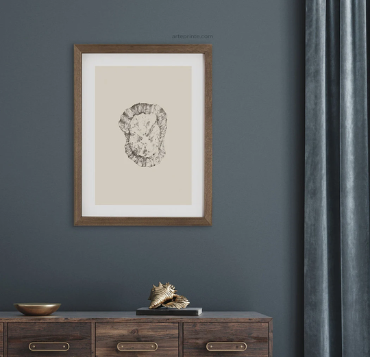 Seashell Art Print, Pencil Sketch, Beige Gray White Illustration, Minimalist Drawing For Bathroom, Printed & Shipped, Giclée Print