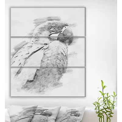 'Black and White Parrot Pencil Sketch' Oil Painting Print Multi-Piece Image on Wrapped Canvas