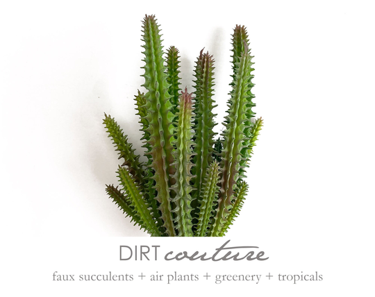 Euphorbia, Pencil Cactus, Spiky, Euphoria Utopia, Artificial Plant, Stick Faux Succulent
