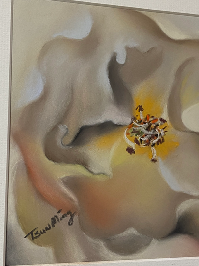 Colored Pencil Chalk? Flower Drawing Original "White Rose" Signed Tsun Ming