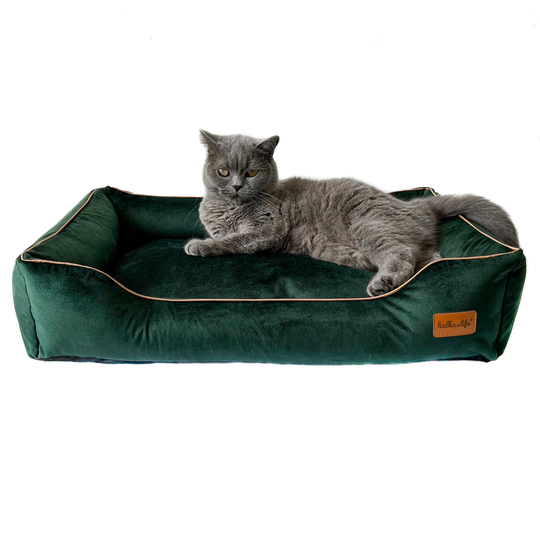 Bottle Green Sofa For Dogs & Cats. Luxury, Soft Pet Friendly Material. Waterproof Bed With Removable Covers. Cat Glamour Couch