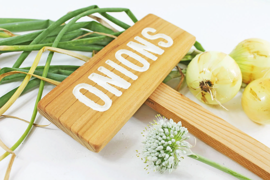 Onions Sign, Vegetable Marker, Outdoor Yard Art, Garden Veggie Signage, Bulb Vegetable, Red Onion, White Yellow Onion