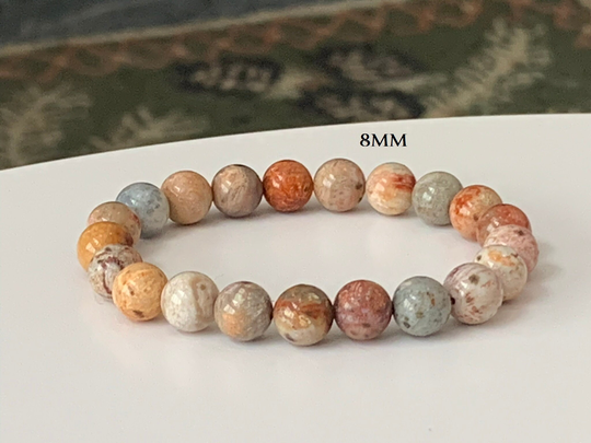Coral Bracelet, Natural Fossil Stretch Grounding Sponge Bead Energy Bracelet