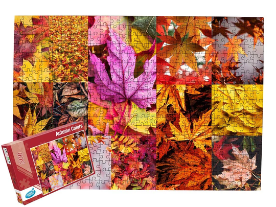500 Pieces Jigsaw Puzzle "Autumn Colors'/Book Piece For Adults & Families