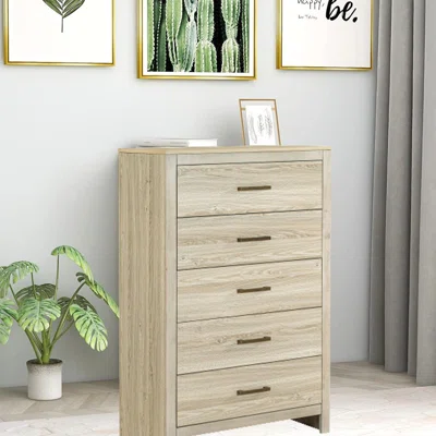 Modern Farmhouse 5 Drawer Storage Chest