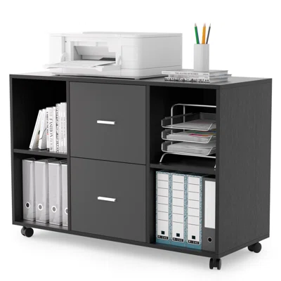 Shivika 2 -Drawer Storage Cabinet