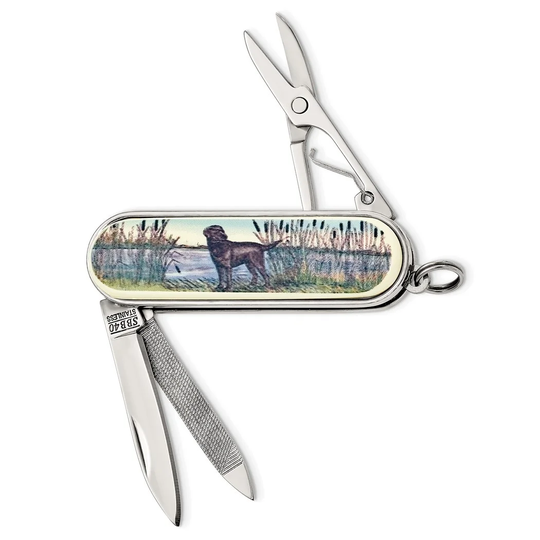Curata Barlow Designs Color Labrador Dog in Reeds Multifunction Pocket Knife
