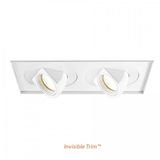WAC Lighting Tesla Multiple Spots 12.5" Wide 2 Light Adjustable