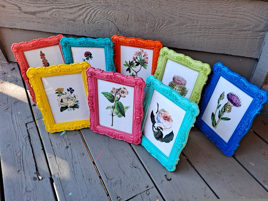 Large 5X7 Picture Frames, Tropical Colors, New Colors Plastic, 5.25 X 7.25 Opening