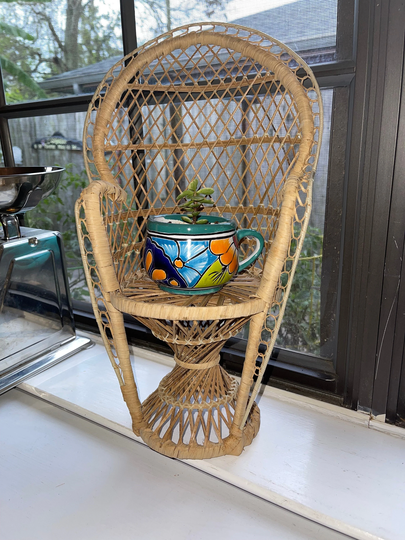 Wicker Chair Plant Stand Peacock Doll Vintage Bohemian Decor Furniture Small Rattan Home