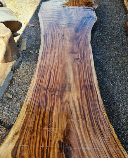 Custom Made Rare Over 11Ft Dining Table /Conference Reclaimed Live Edge Single Slab Golden Acacia Wood | Available For Order