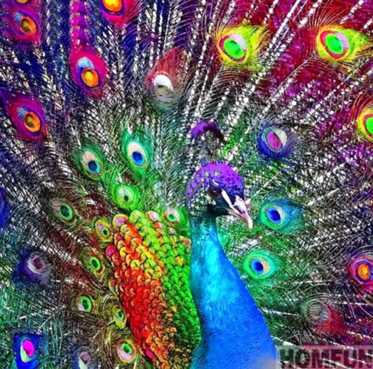 The Network Peacock Diy 5D Diamond Painting Kit Full Square & Round Drill