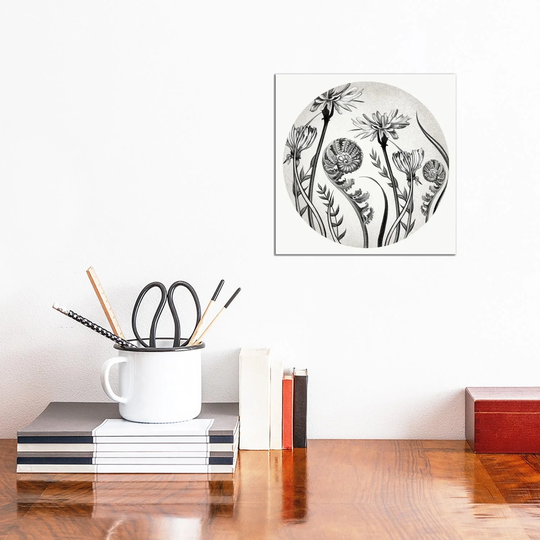 iCanvas "Dandelions And Ferns In Pencil" by Vicki Hunt Canvas Print