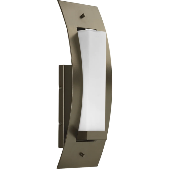 Progress Lighting P6603-20 Peek-A-Boo One Light large Wall Lantern
