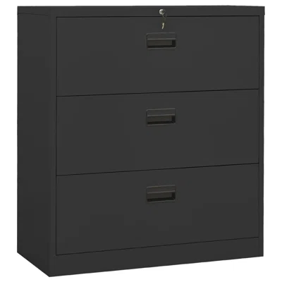 Hohl 3 - Shelf Storage Cabinet