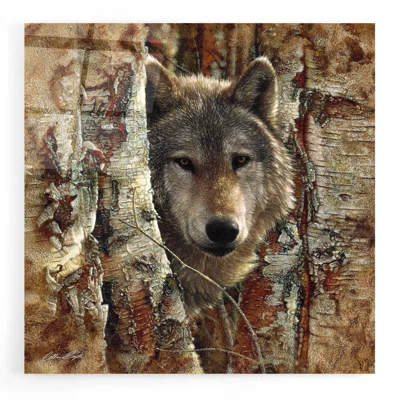 Wolf Spirit by Collin Bogle - Unframed Print