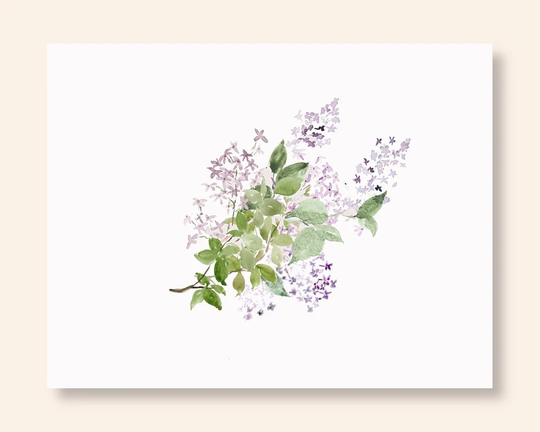 Water Color Lilac Bouquet Note Cards, Purple Floral Notes, 10 To A Set