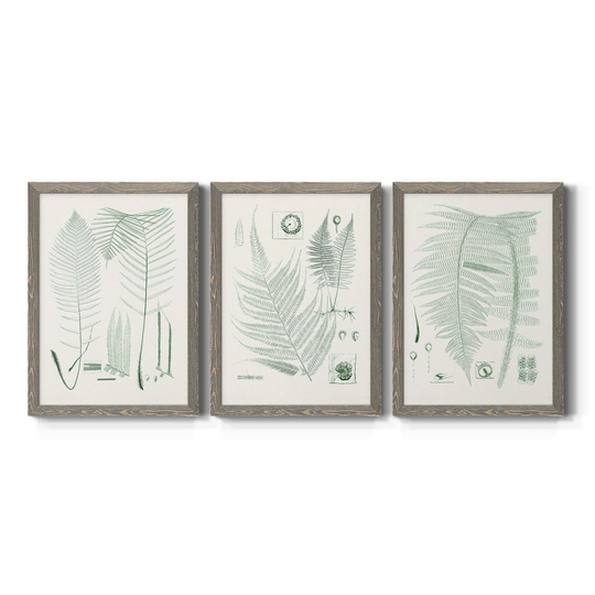 Verdure Ferns VII-Premium Framed Canvas - Ready to Hang - Multi-Color