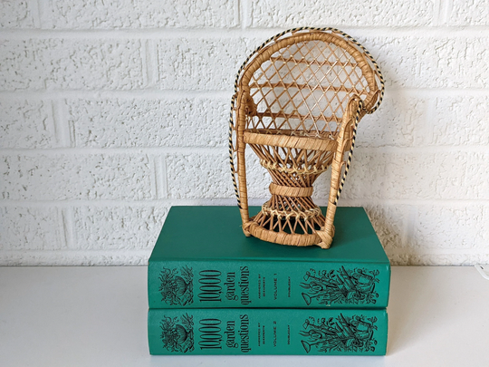 Wicker Peacock Chair Plant Stand | Boho Footed Flower Pot Basket Woven Bamboo Planter