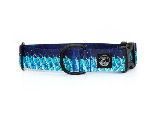 Tarpon Dog Collar | Fishing Pet Silver King Stainless Steel Black Metal Girl Boy Summer Martingale