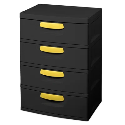 Louiseann 4 Drawer Storage Chest