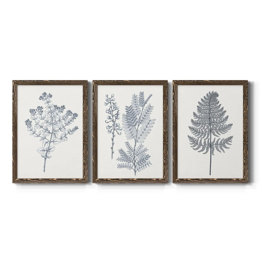 Indigo Botany Study VI-Premium Framed Canvas - Ready to Hang - Multi-Color