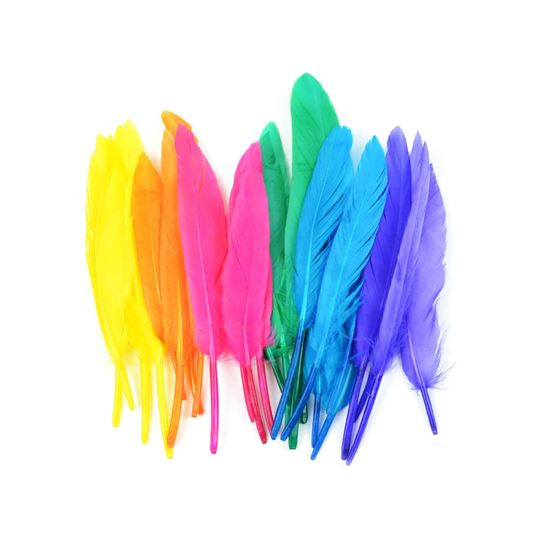 Colorful Duck Feathers | Costume Bright Colored Quill - 3In. 24 Pieces/Pkg. | Nmmd38367