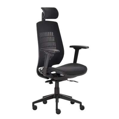 Ergonomic Office Chair With Adjustable Height, Armrest And Headrest Support And 360 Swivel Wheels, Black