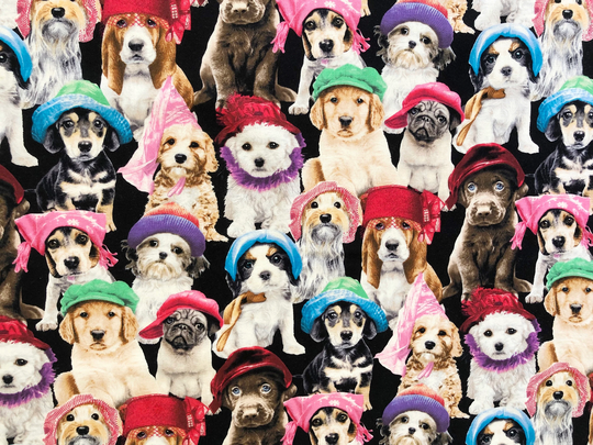 Puppies in Hats All Over Black Quilting Cotton Fabric By 1/2 Yard, Fat Quarter Fabric, Dog Lover Puppy Friend