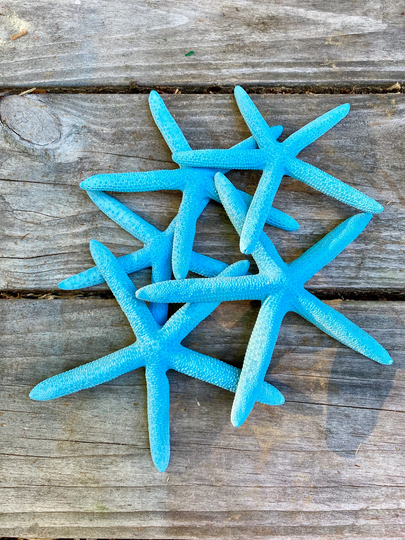Turquoise Natural Pencil Starfish For Beach Or Nautical Decor, 4"-6" Wedding Home Decor Craft Supplies