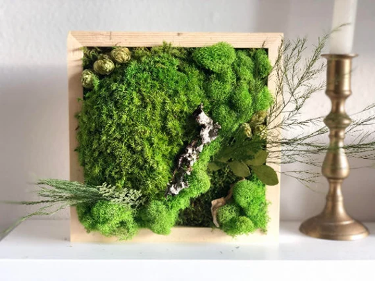 Preserved Moss Wall Art, Custom Gift, Framed Decor, Nature Room Garden, Wood Unique Birthday Gift