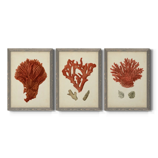 Antique Red Coral I-Premium Framed Canvas - Ready to Hang - Multi-Color