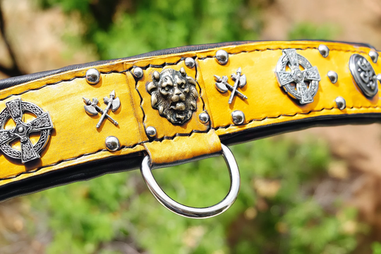 Cane Corso Collar, Large Dog Collar For Big Dogs, Celtic Big Presa Canario