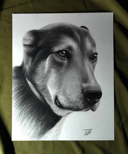 Custom Hand Drawn Pet Portrait From Your Photos, Christmas Present, Animal Dog Drawing, Pencil Sketch, Gift Idea, Memorial Artwork