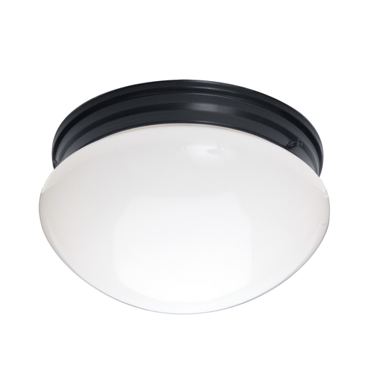 Essentials 2-Light Flush Mount