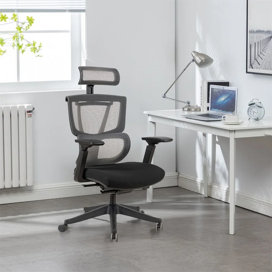 EYIW Big and tall Excusive Ergo Office Chair with double backs and slide seats, Headrest and 3d armrest