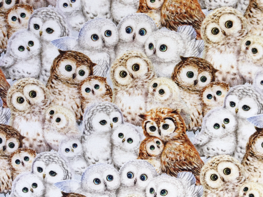 Mini Snowy Owls All Over Brown White Quilting Cotton Fabric By 1/4 Yard, 1/2 Yard Or Fat Quarter, Australian