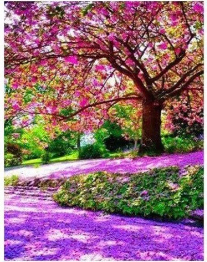 Us Seller. 40x30cm Trees in The Park, Purple, Fall Sunset Diamond Painting Kit. Round Drills, Full Drills, Fast S&h