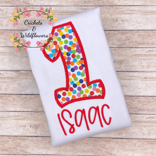 1st Birthday Colorful Dot Shirt, Polka Embroidered Coloring First Birthday, Color Party